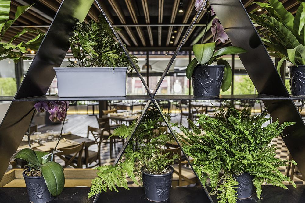 Domingo Santo Hotel Boutique (Adults Only) Meksika Dış mekan fotoğraf